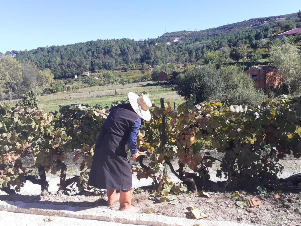 Quinta Da Peca Douro Vinhateiro Vila Real Exterior photo