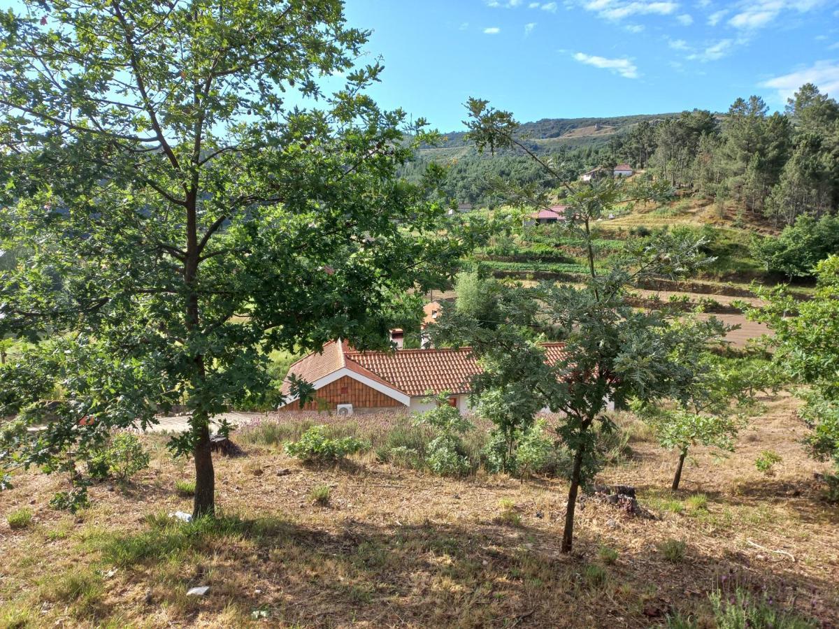 Quinta Da Peca Douro Vinhateiro Vila Real Exterior photo